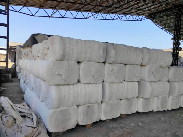 Premium Cotton Bales – High-Quality Gujarat Cotton for Textile & Spinning Mills